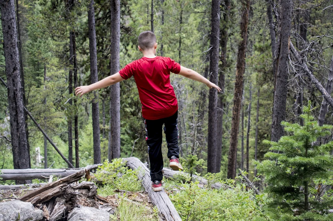 Duńska zupa kartoflana – comfort food Północy