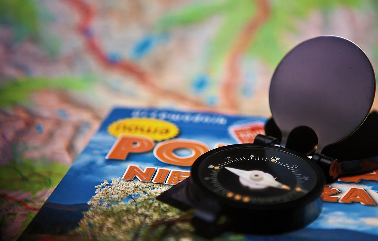 Jakie rośliny rosną w tundrze Laponii?