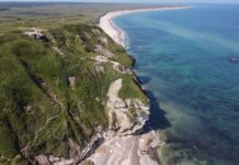 Wyspa Møn, Skagen i Fanø: duńskie regiony dla tych, którzy omijają zatłoczoną Kopenhagę Letnia duńska linia brzegowa z lotu ptaka nad turkusowym morzem